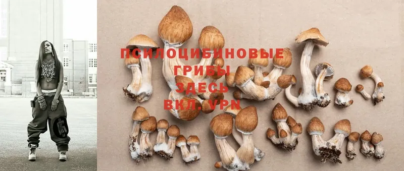 кракен сайт  Инта  Псилоцибиновые грибы Magic Shrooms 